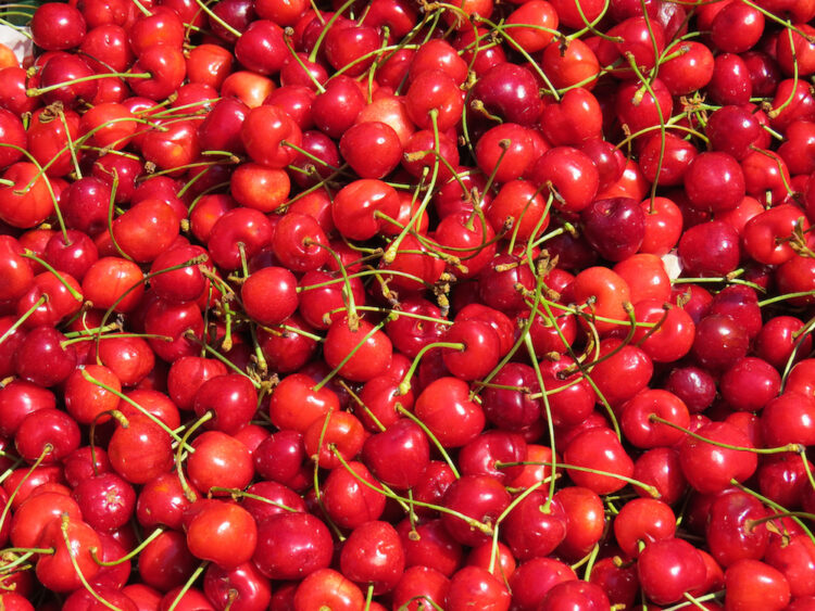 Stop Cherry Coating Your True Opinion