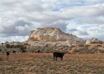 Getting Funded Step 1: Getting Noticed