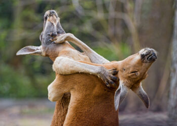 In Which A Bunch of People Fight & Life Goes On…