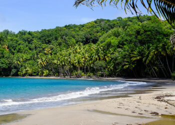 How To Test The Startup Lifestyle Before You Commit