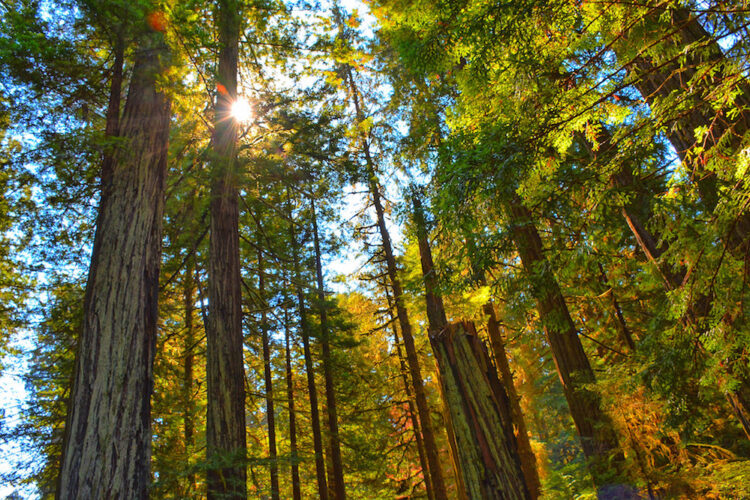 4 Tips to Driving Big Growth Without Losing Your Sanity