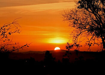 Why I Wake Up at 4:22 AM