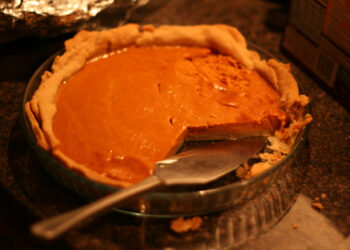 Stock Option and Incentive Plans for Startups