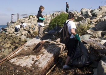 5 Keys to Raising Ethical Standards in Your Startup