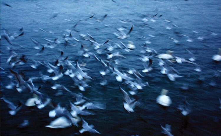 How Take Your Idea From a Startup to a Movement