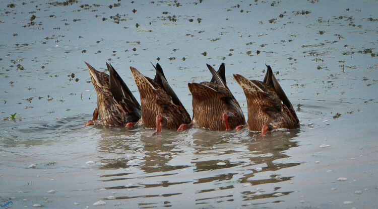 How to Motivate your Small Team in Six Steps
