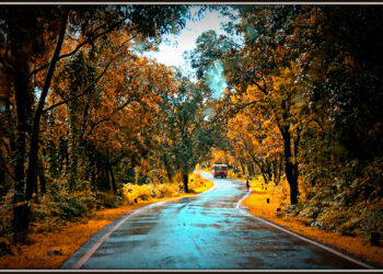 6 Ways to be a Better Entrepreneur