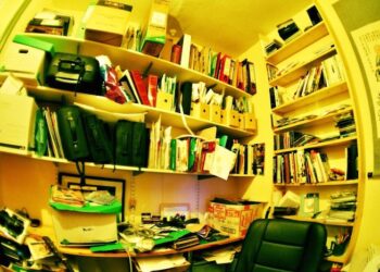 The Relationship Between Abundance and Dissatisfaction