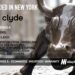 Clyde Raises Another $14M to Enable E-Commerce Merchants to Offer Extended Warranties