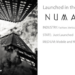 NUMARI: Changing the Way Women Buy Dresses
