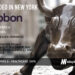 Ribbon Health Raises $10.25M to Power the Healthcare Industry with the Data it Needs