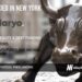 Salaryo Raises $5.5M to Help Entrepreneurs Finance Security Deposits at Coworking Spaces