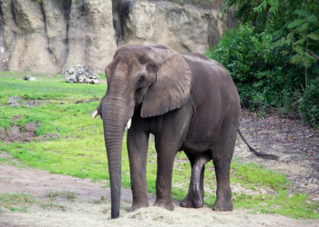 Think Big, Act Small #3.  Selecting Tactics for Your Marketing Plan