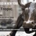 Tropic Emerges out of Stealth and Raises $2.1M for its Software Procurement Platform