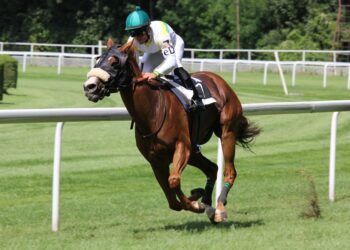 7 Traits Of Today’s New Business Innovator and Model