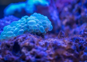 Where We Are Investing Now: Life Sciences, Part 2