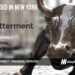 Betterment Raises $60M for its Digital Investment Platform for Employers, Customers, and Advisors