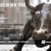 BigID Raises $70M to Become New York’s Newest Unicorn