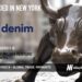 Denim Rebrands and Raises $26M for its Financial Enablement Platform for Freight Forwarders