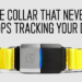 Why We Invested in Fi  –  the Smartest Dog Collar