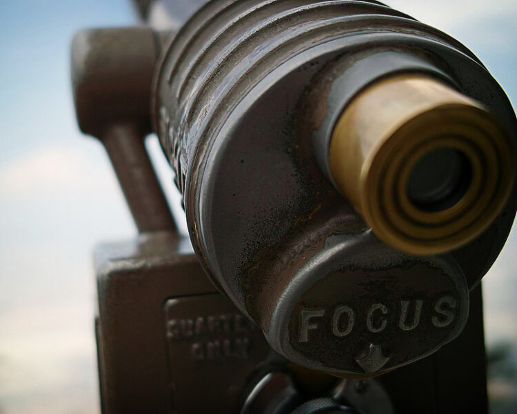 How to Focus on the Big Picture in Your Business