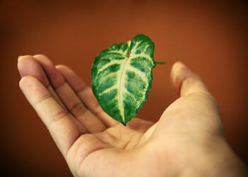 4 Ways Entrepreneurs Can Create More Innovations