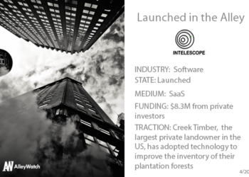 This NYC Startup Literally Helps You See the Forest Through the Trees