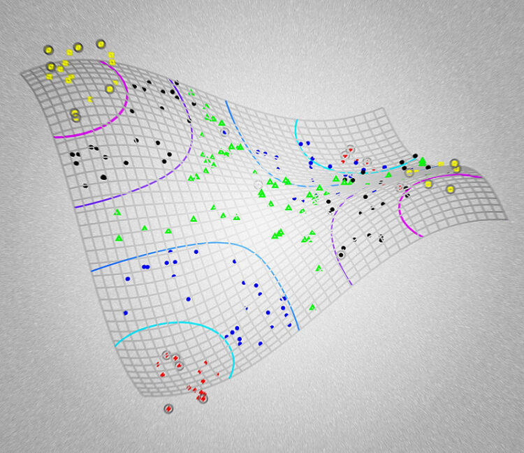 How to Leverage Machine Learning for Your Business