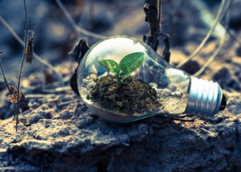 Rules for Scaling Successfully to Help Your Business Grow in the Right Direction