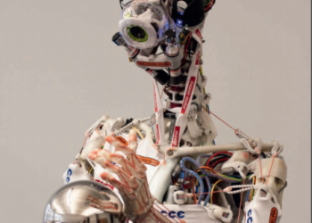 Neurorobotics, Robot Mice, and Brain Implants