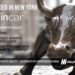 SpinCar Raises $22M to Enable Personalized 360° Car Showroom Tours From the Comfort of Your Couch