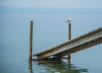 7 Questions To Focus Your Search For Venture Funding