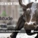 Aditude Raises $15M for its Technology Optimization Platform for Publishers That Drives Revenue