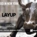 Layup Raises $2.3M for its Savings App for Sports Fans That Let’s Them Get a Piece of the Action Without Ever Losing