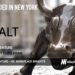 Salt Labs Raises $8M for its Loyalty and Rewards Platforms for Hourly Employees