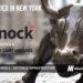 Knock Raises $12M to Make Integrating Notifications into Apps Seamless with its Infrastructure Platform