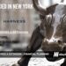 Harness Wealth Raises $17M for its Tax Planning and Wealth Management Marketplace