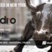 Adro Raises $1.5M to Bring Comprehensive Financial Services to International Students