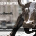 Authentic Insurance Raises $16.5M to Pioneer the Captive Insurance Model, Empowering Businesses to Launch Personalized Insurance Programs