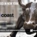 Coast Raises $40M to Streamline Fleet Management with Integrated Charge Cards and Real-Time Expense Tracking