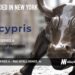 Cypris Raises $5.3M to Truncate Research Time for R&D Teams from Weeks to Minutes with AI