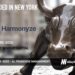 Harmonyze Raises $2M to Revolutionize Franchise Management with Automation