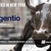 Agentio Raises $12M Series A to Make Creator Advertising as Easy as Google Ads
