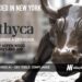 Ethyca Raises $10M to Scale its Enterprise Data Privacy Engineering Platform