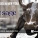 Sage Raises $35M to Modernize Senior Living Operations