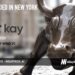 Kay.ai Raises $3M to Eliminate Manual Data Entry in Insurance Operations with AI