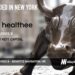 Healthee Raises $30M to Improve Employee Health Benefits Navigation