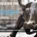 Stash Raises $146M to Enhance Financial Guidance with its AI-Powered Platform
