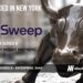 Sweep Raises $22.5M to Keep Enterprises Ahead with Intelligent CRM Management