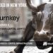 Turnkey Raises $30M Series B to Usher in Next Era of Crypto Infrastructure